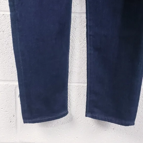 Adriano Goldschmied The Farrah Skinny High Rise Dark Wash Stretch Women's 32