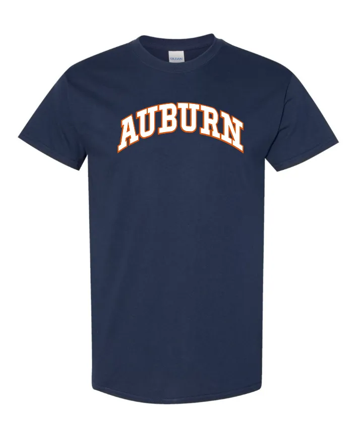 AUB T Shirt Arch