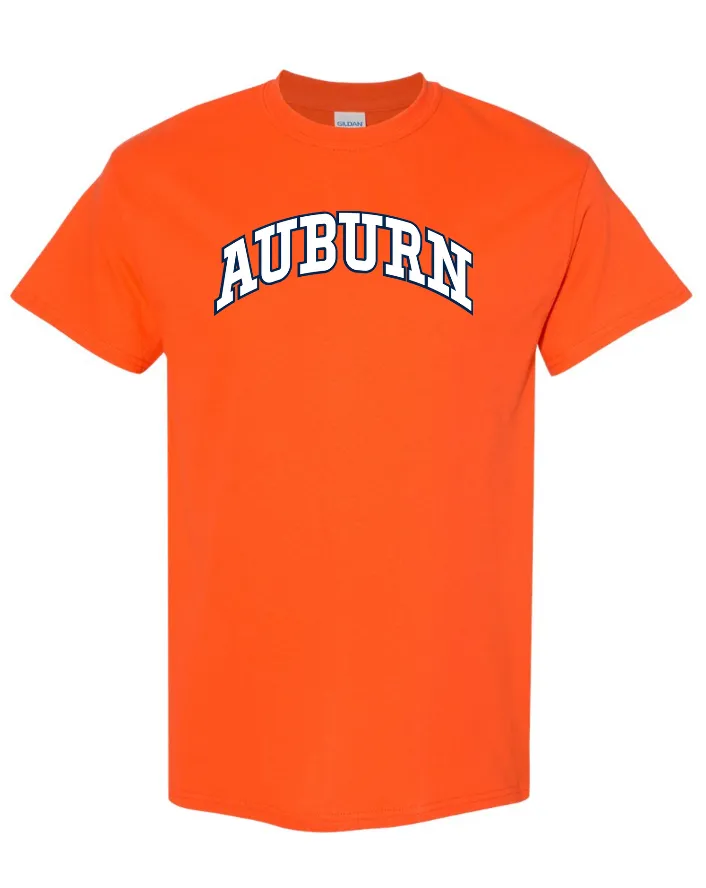 AUB T Shirt Arch