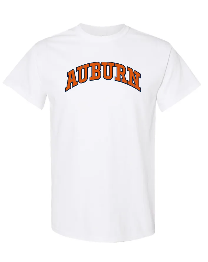 AUB T Shirt Arch