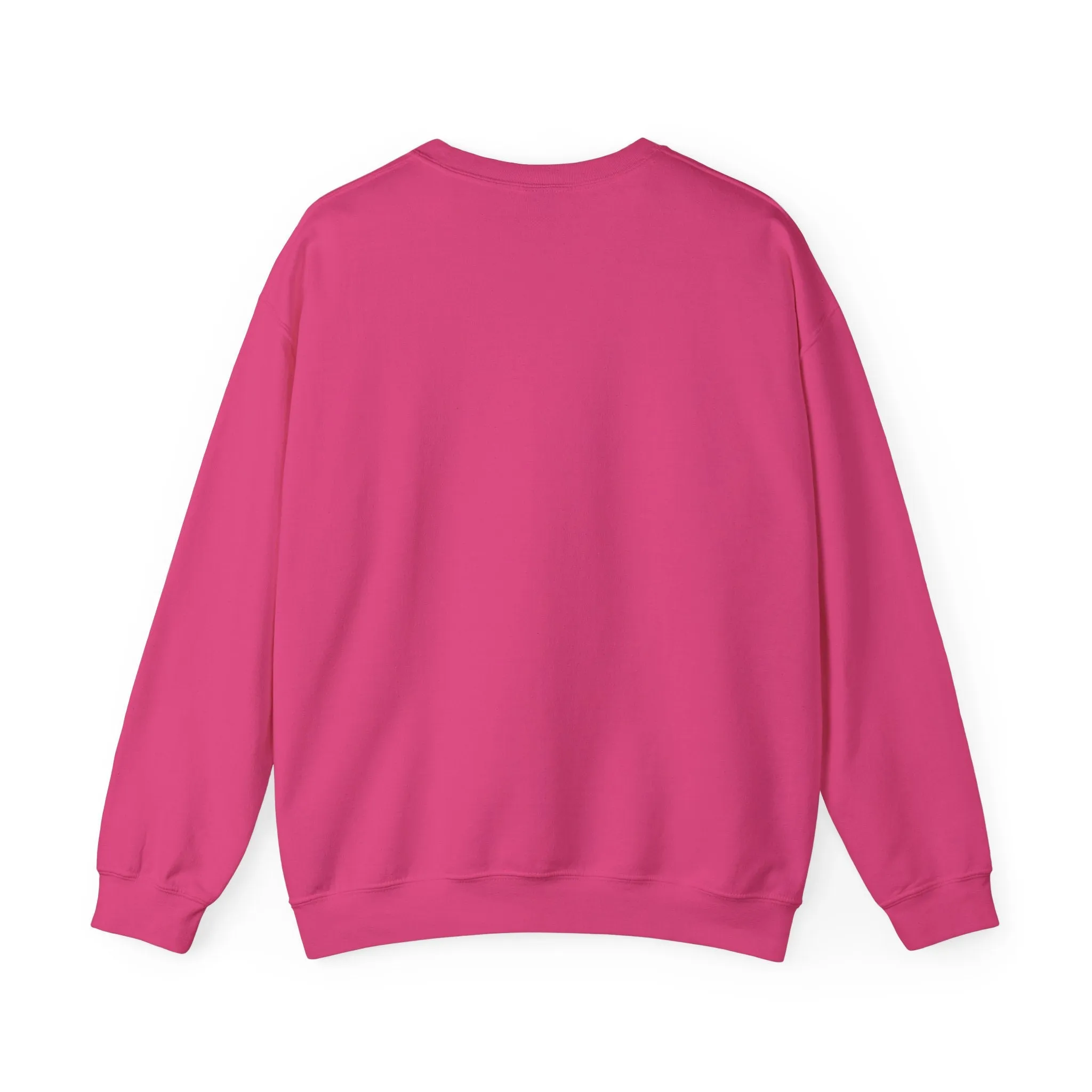 Cool Teddy Bear Sweatshirt