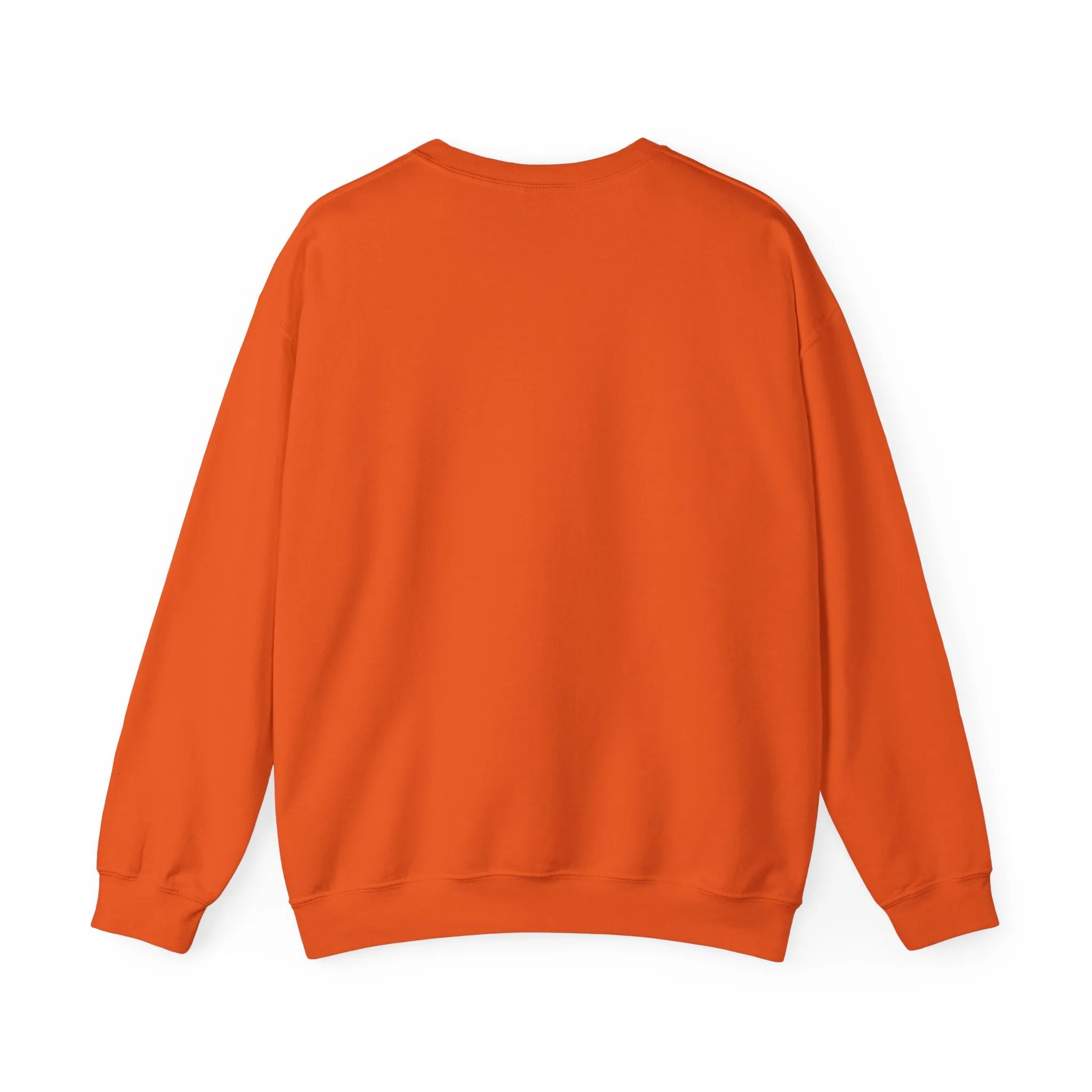Cool Teddy Bear Sweatshirt