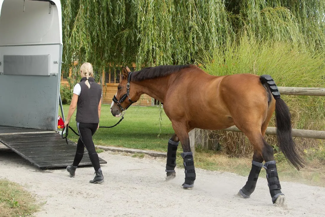 Guêtres de repos équitation avec coton Cheval et Poney - Stable boots noire x2