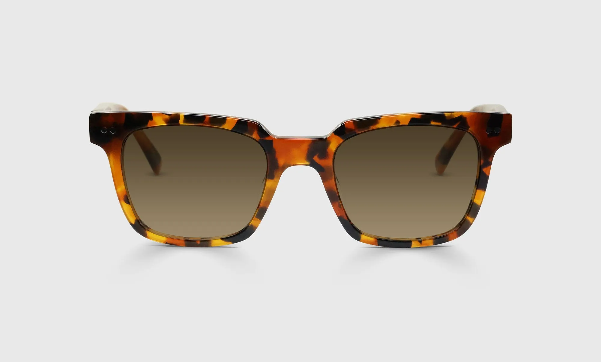 In Cahoots Blue Light Glasses