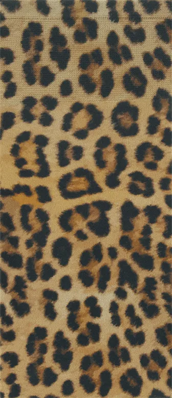 Jaguar on Fossil Knee Highs