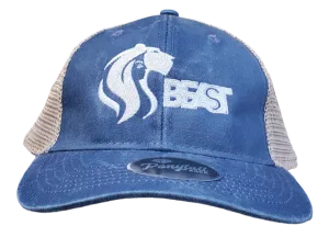 Lady Lioness Trucker Mesh Pony Tail Cap (Navy or Raspberry)