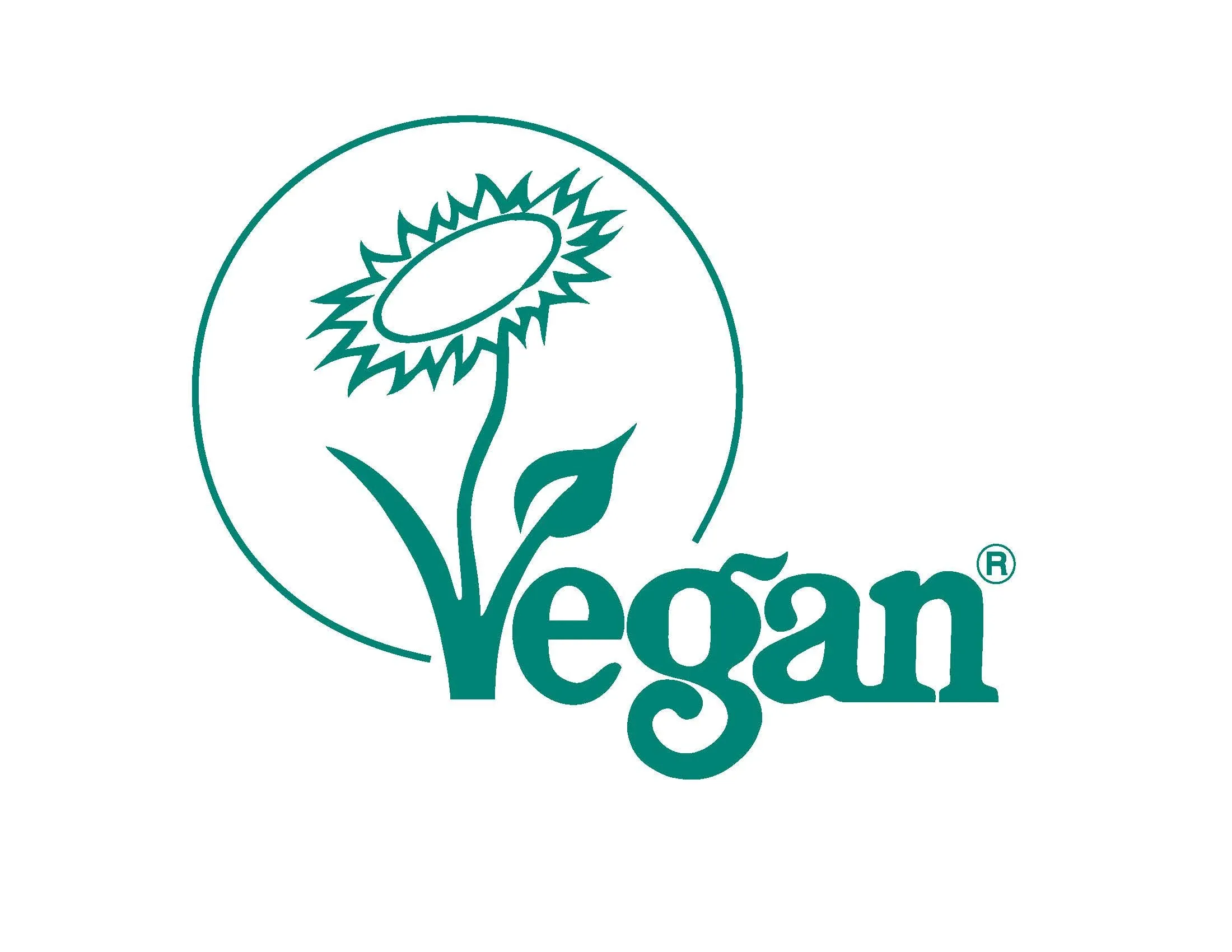 Natural Health Practice (NHP) Vegan Multi Support 60's