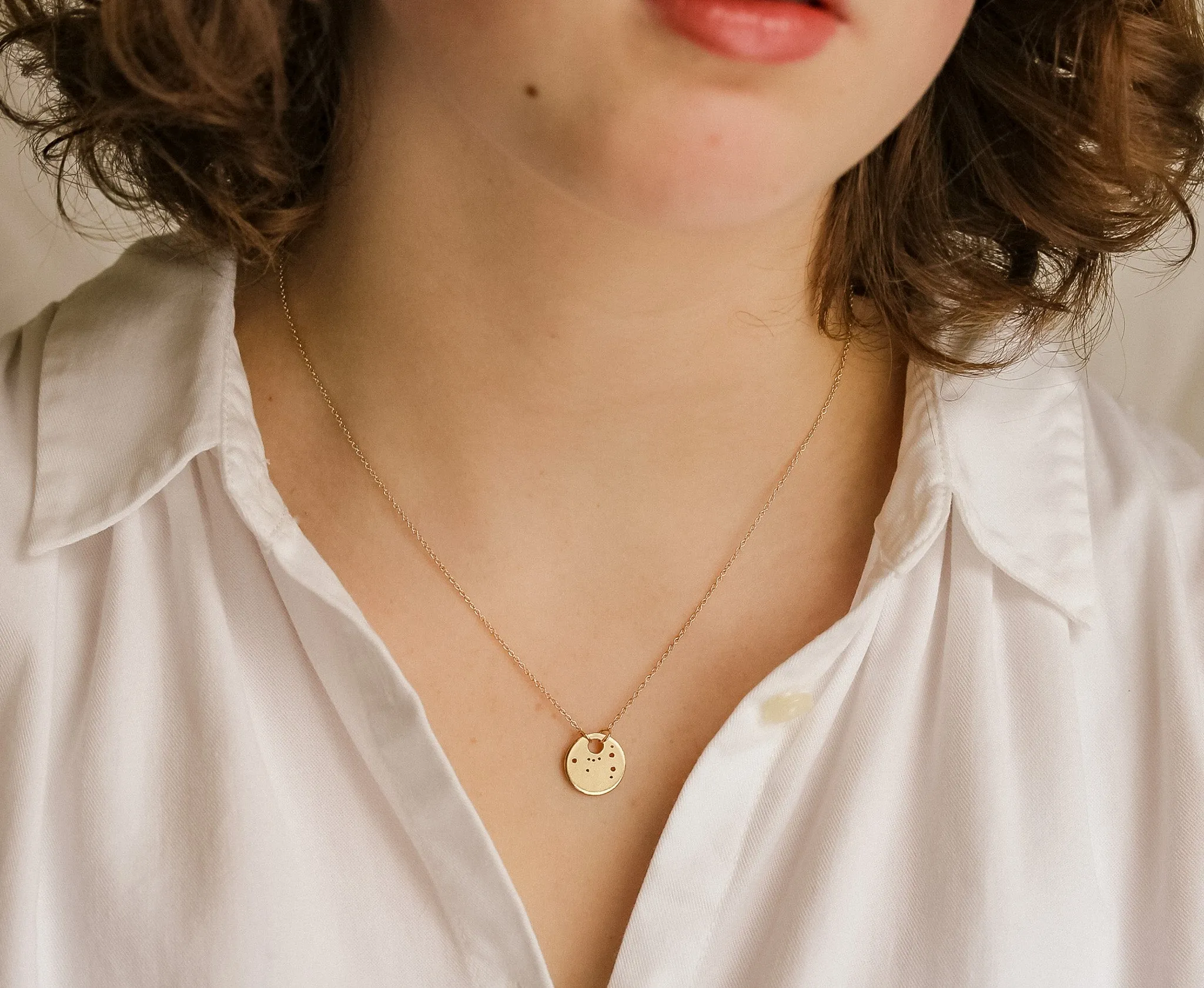 Pisces Zodiac Constellation Necklace / Silver or 14k