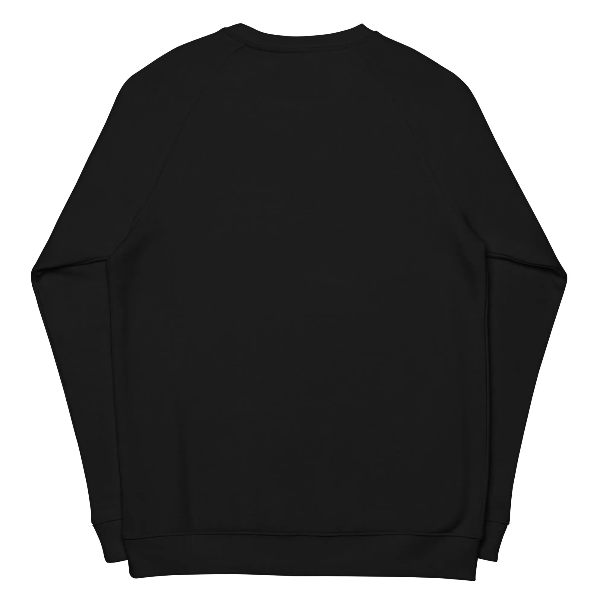 Right To Vote Unisex organic raglan sweatshirt