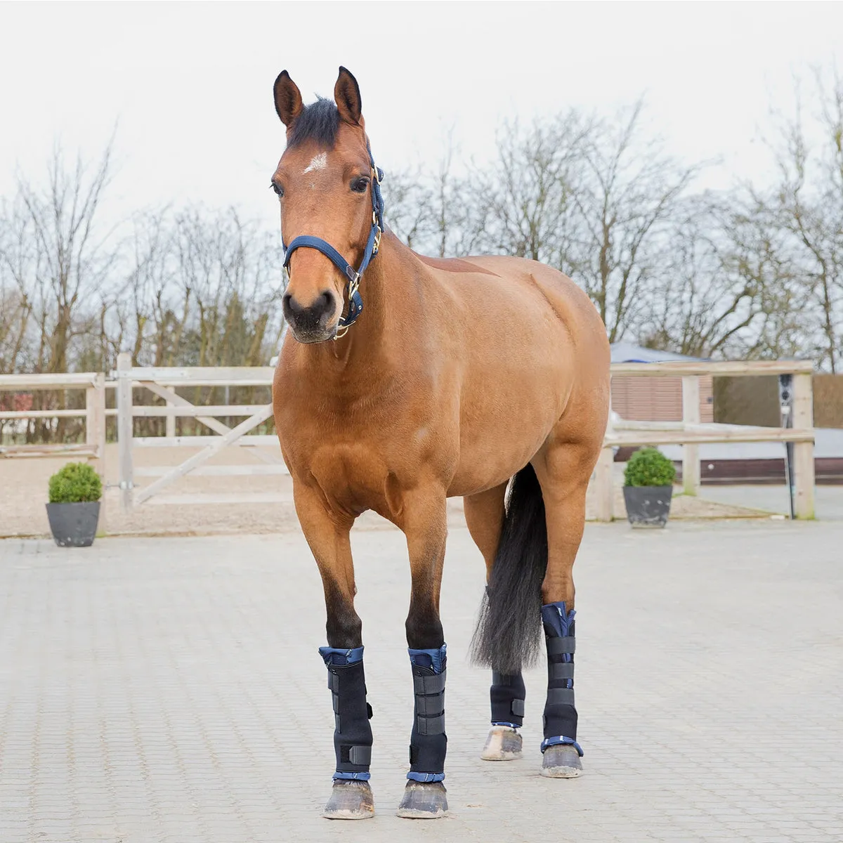 Stable Boots Pro - Pair