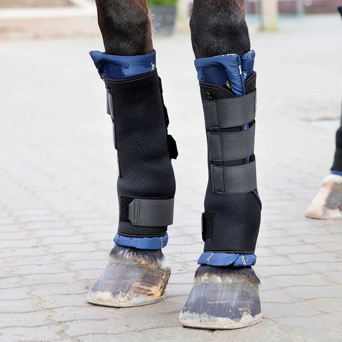 Stable Boots Pro - Pair
