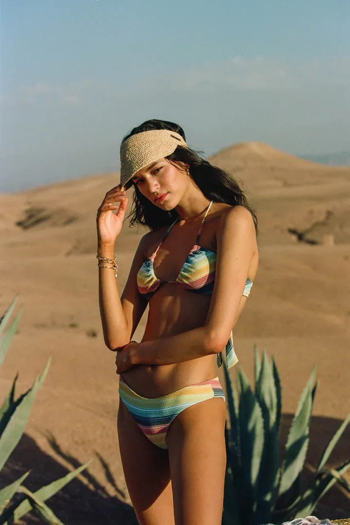 Temea Visor