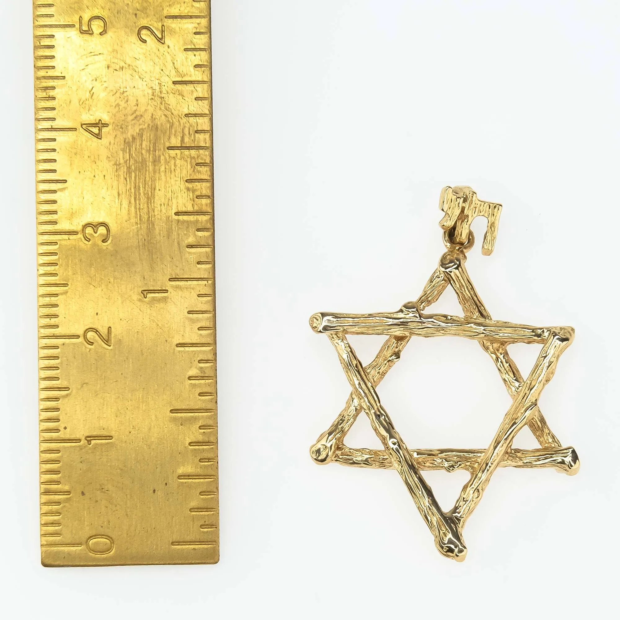 Textured Tree Branch Star of David with Chai Bail Pendant in 14K Yellow Gold
