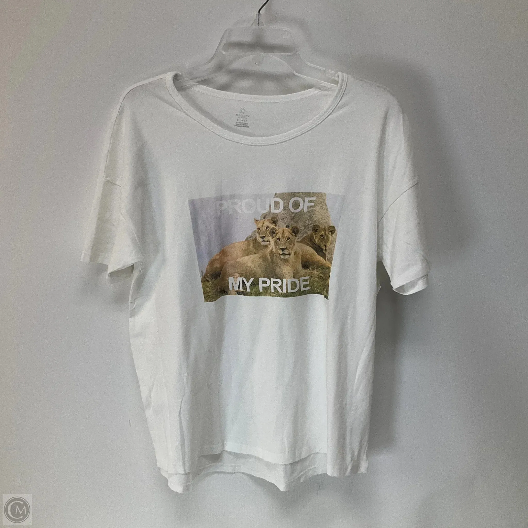 Top Short Sleeve By Aerie In White, Size: M
