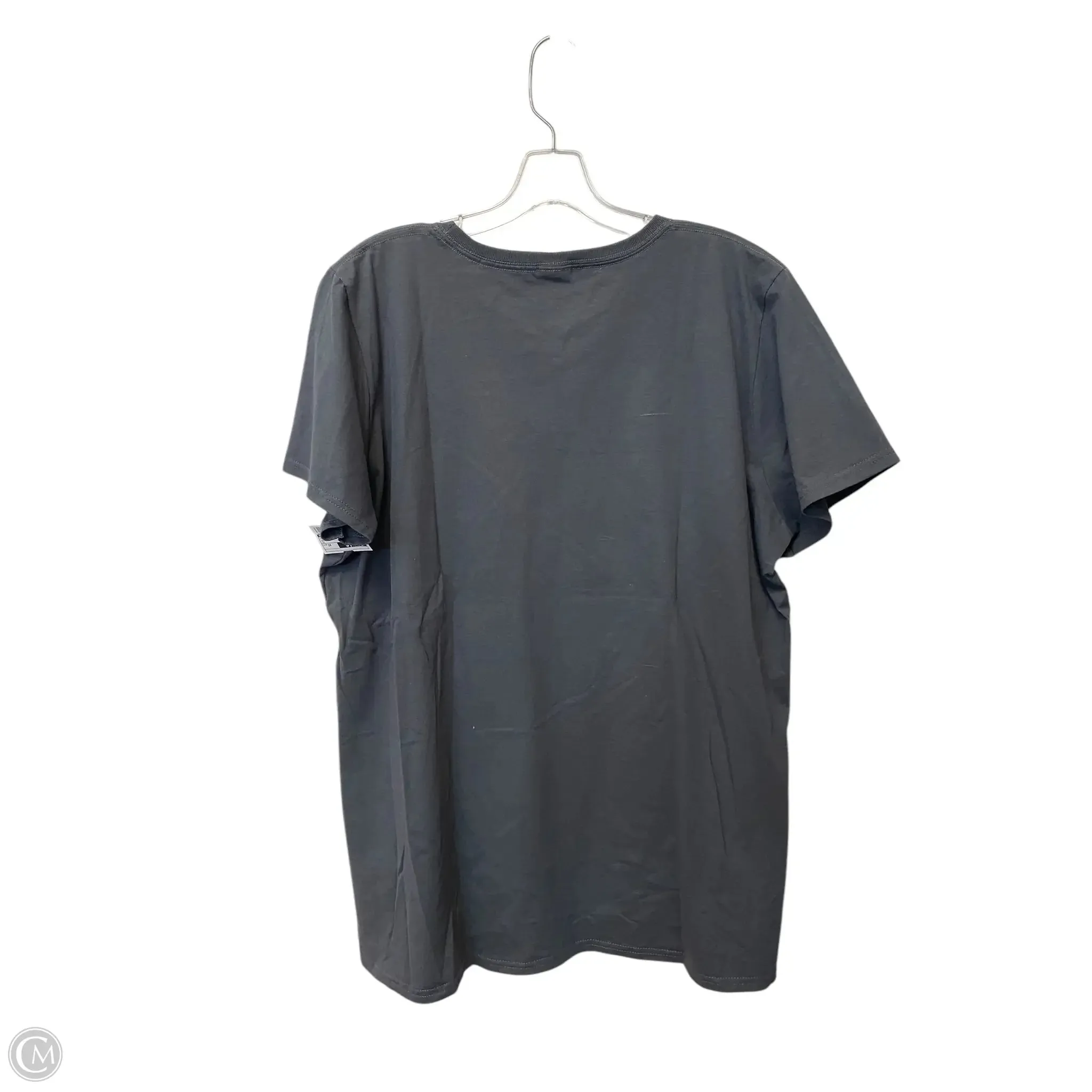 Top Short Sleeve By Fruit Of The Loom In Grey, Size: 3x