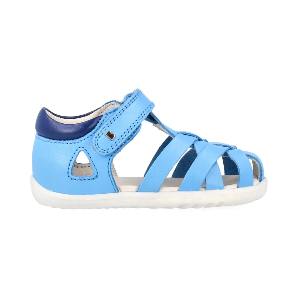 Tropicana II  - Step Up - Powder Blue   Blueberry