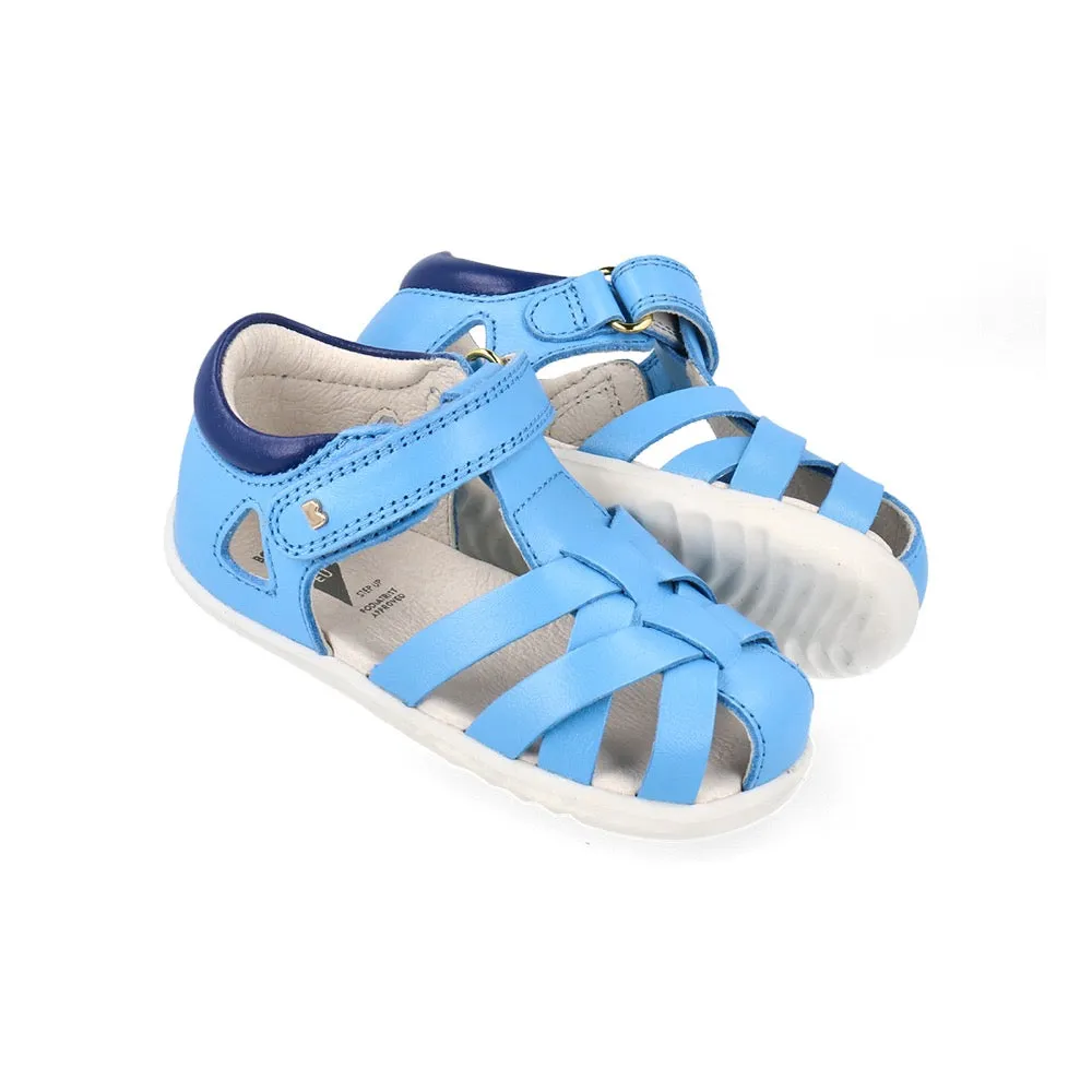 Tropicana II  - Step Up - Powder Blue   Blueberry