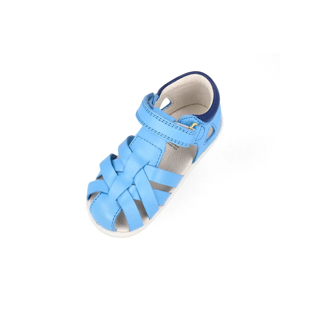 Tropicana II  - Step Up - Powder Blue   Blueberry